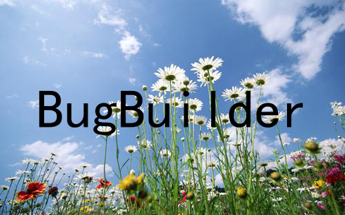 BugBuilder: 高质量大规模缺陷库自动构建方法