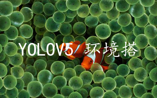 YOLOV5 环境搭建和使用记录