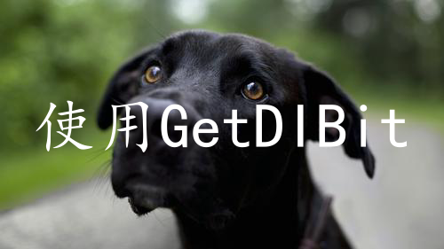 使用GetDIBits()获取Windows位图数据的标准用法，解决内存、堆栈报错问题