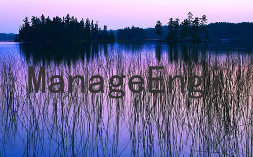 ManageEngine ServiceDesk Plus之CVE漏洞